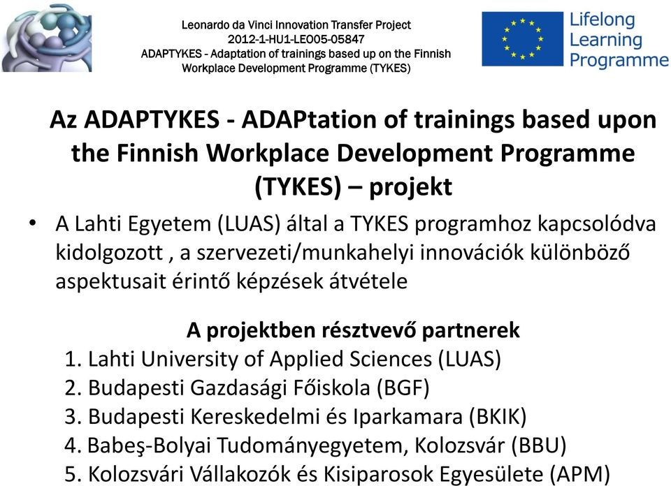 projektben résztvevő partnerek 1. Lahti University of Applied Sciences (LUAS) 2. Budapesti Gazdasági Főiskola (BGF) 3.