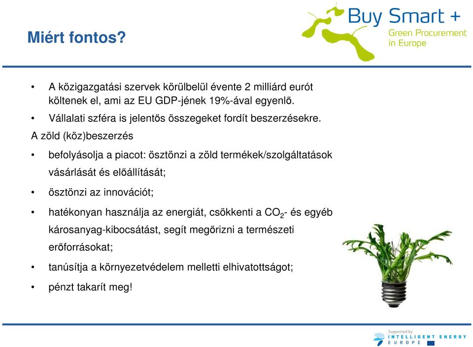 A zöld (köz)beszerzés befolyásolja a piacot: ösztönzi a zöld termékek/szolgáltatások vásárlását és előállítását; ösztönzi az