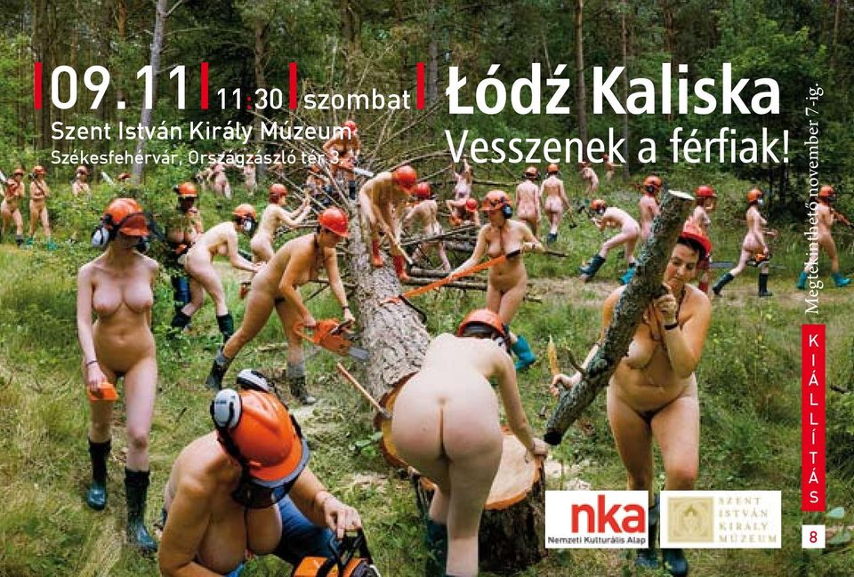 Székesfehérvár, Országzászló