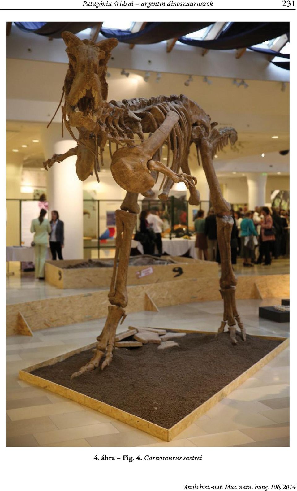 dinoszauruszok 231 4.