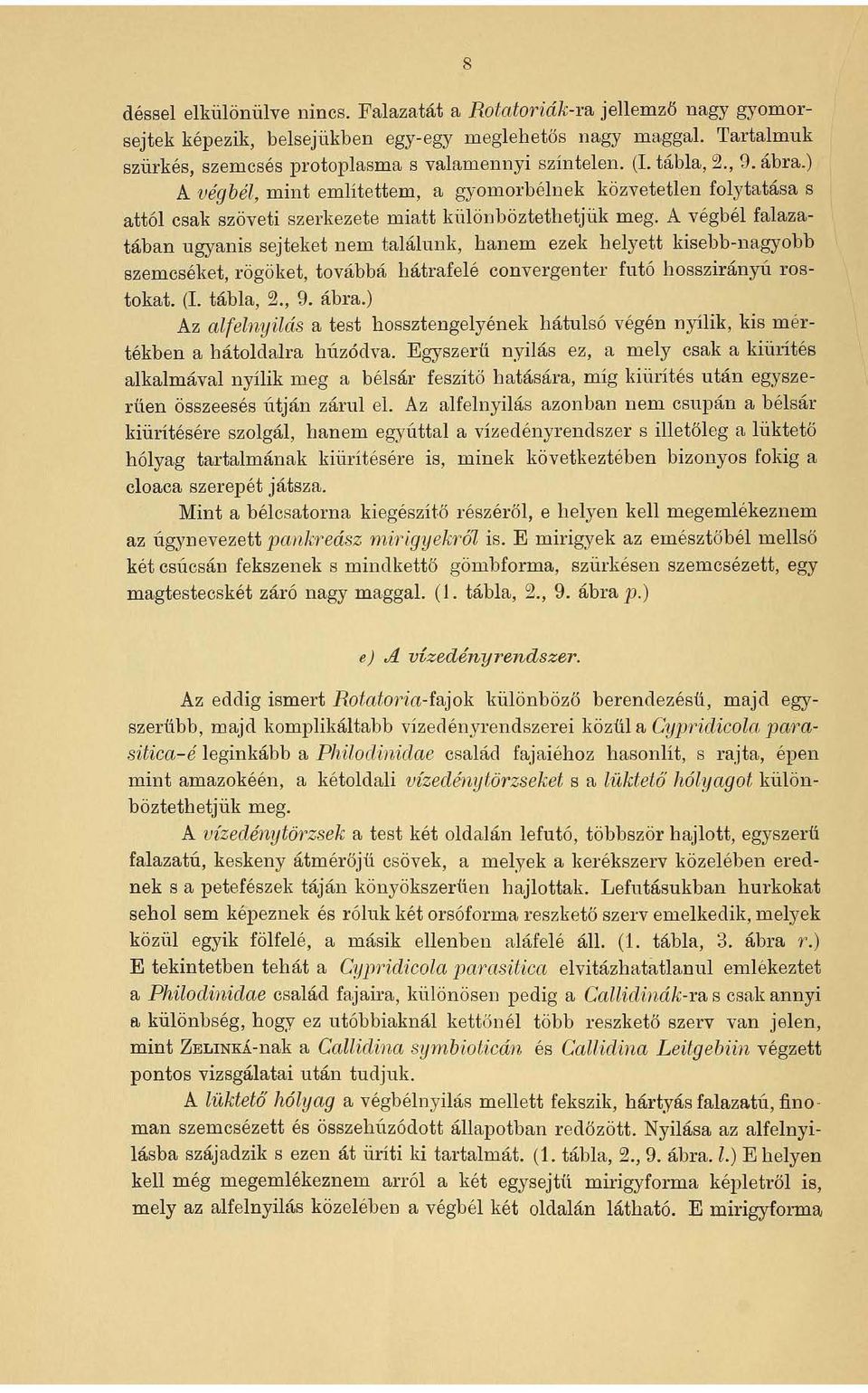 A végbél falazatában ugyanis sejteket nem találunk, hanem ezek helyett kisebb-nagyobb szemcséket, rögöket, továbbá hátrafelé convergenter futó hosszirányú rostokat. (I. tábla, 2., 9. ábra.