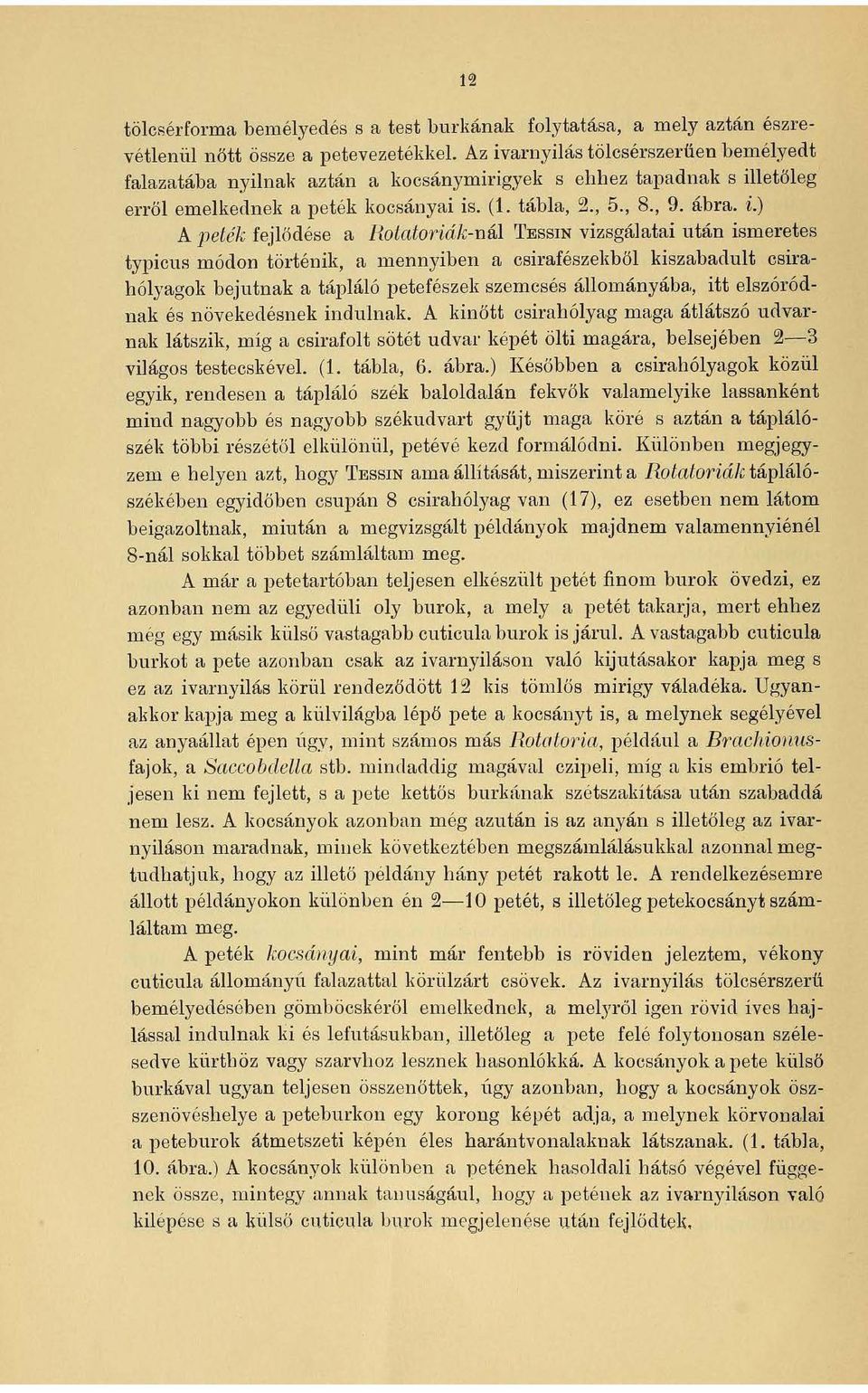 letőleg erről emelkednek a peték kocsányai is