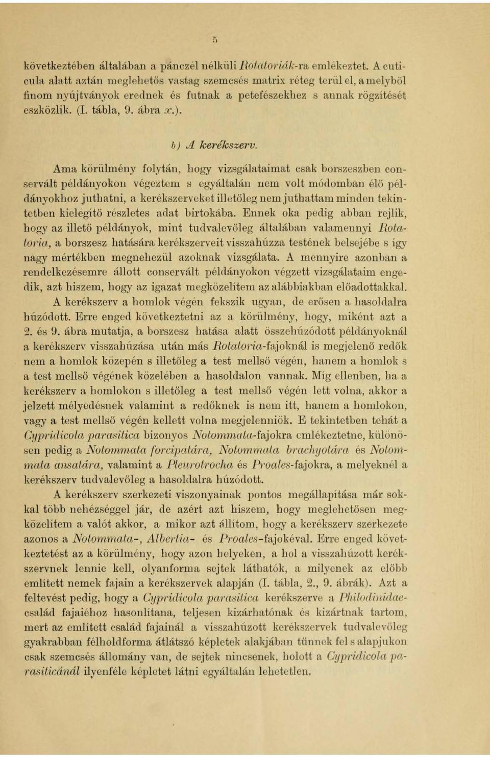 il loerélvszerv.