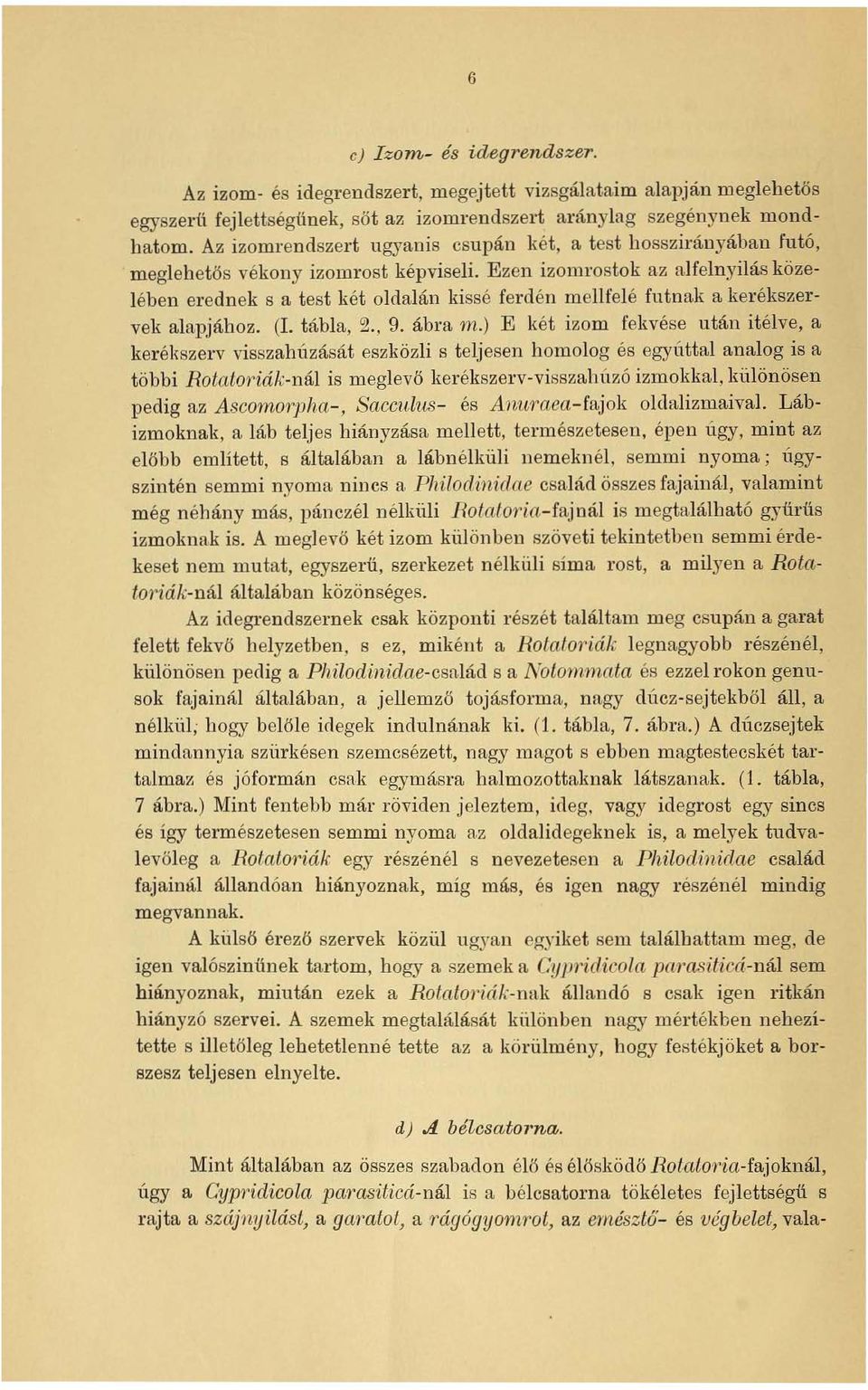 Ezen izomrostok az alfelnyilás közelében erednek s a test két oldalán kissé ferdén m ellfelé futnak a kerékszervek alapjához. (I. tábla, 2., 9. ábra m.
