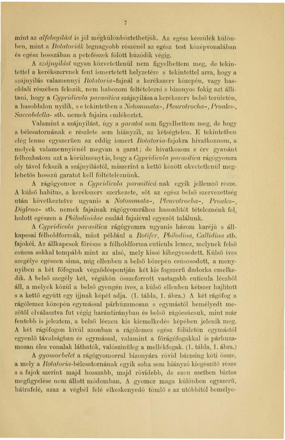 A s::r(jnyilásl ugyan közvetetlenill nom ügyelhettem meg, elo tekintetlel a, kerékszervnel< fent ismortetett helyzetérc s tekintettel arra, hogy a ~z:ljnyilás Yalamennyi lloloforifl-fajnál a