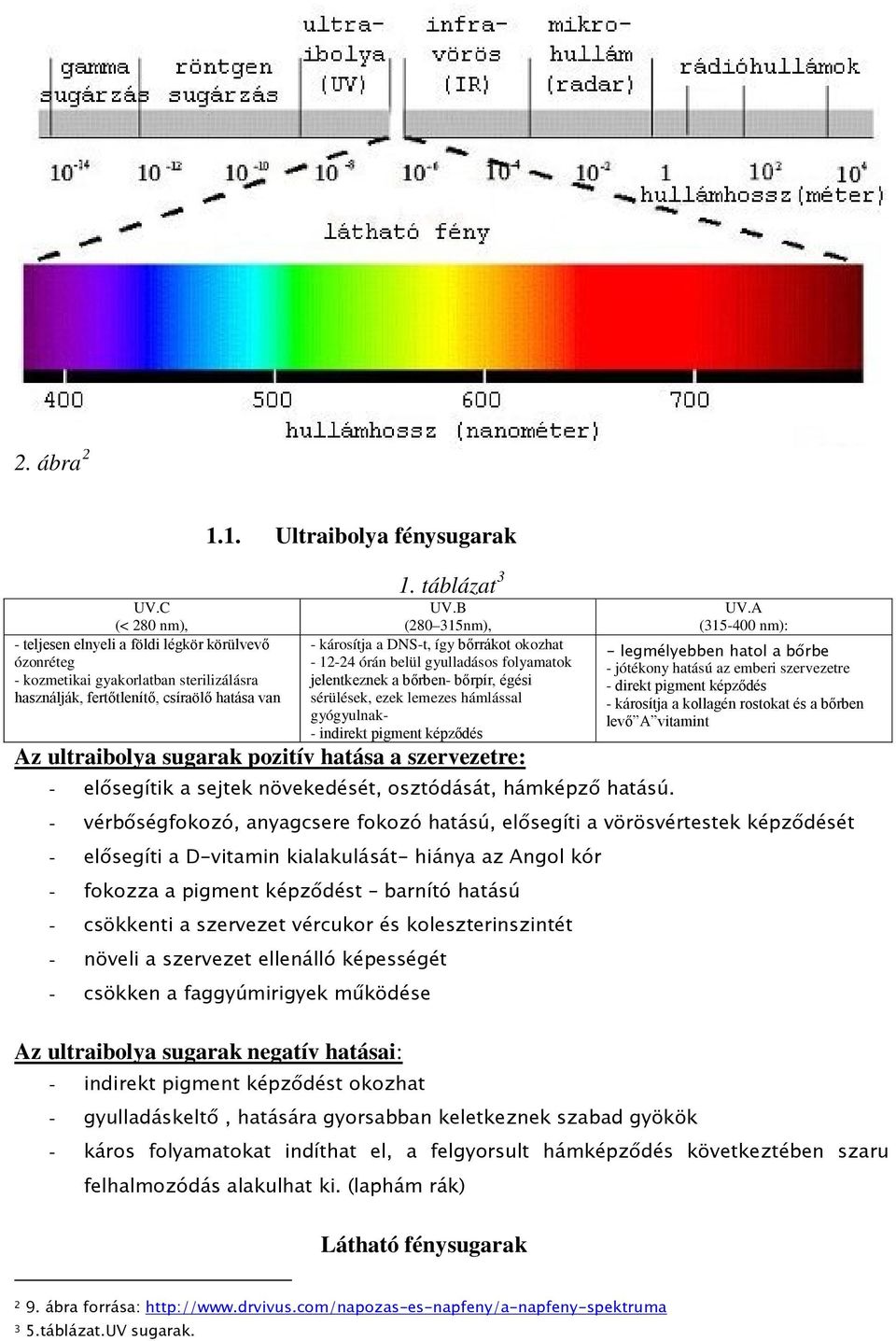 B (280 315nm), - károsítja a DNS-t, így bőrrákot okozhat - 12-24 órán belül gyulladásos folyamatok jelentkeznek a bőrben- bőrpír, égési sérülések, ezek lemezes hámlással gyógyulnak- - indirekt