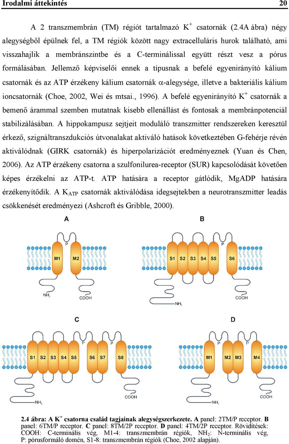 Jellemző képviselői ennek a típusnak a befelé egyenirányító kálium csatornák és az ATP érzékeny kálium csatornák -alegysége, illetve a bakteriális kálium ioncsatornák (Choe, 2002, Wei és mtsai.