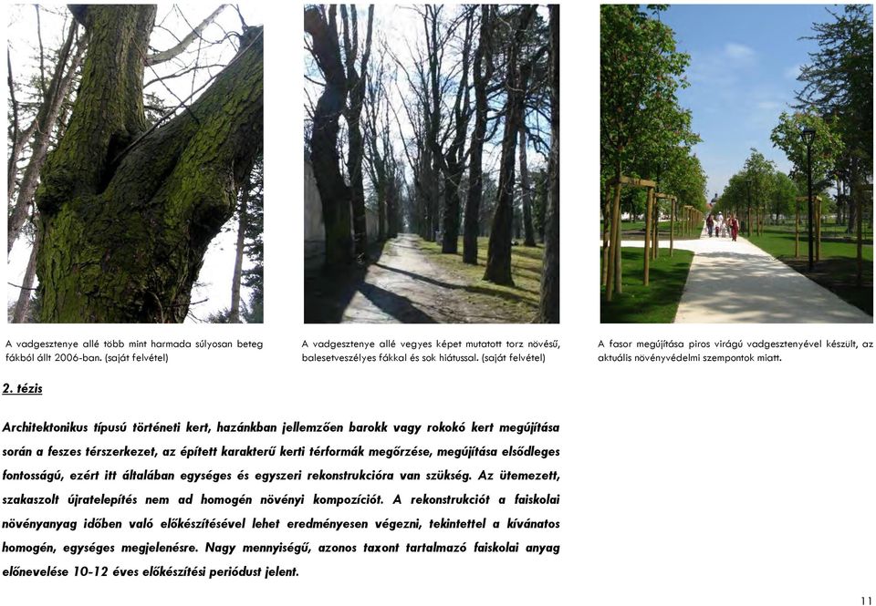Architektonikus típusú történeti kert, hazánkban jellemzően barokk vagy rokokó kert megújítása során a feszes térszerkezet, az épített karakterű kerti térformák megőrzése, megújítása elsődleges