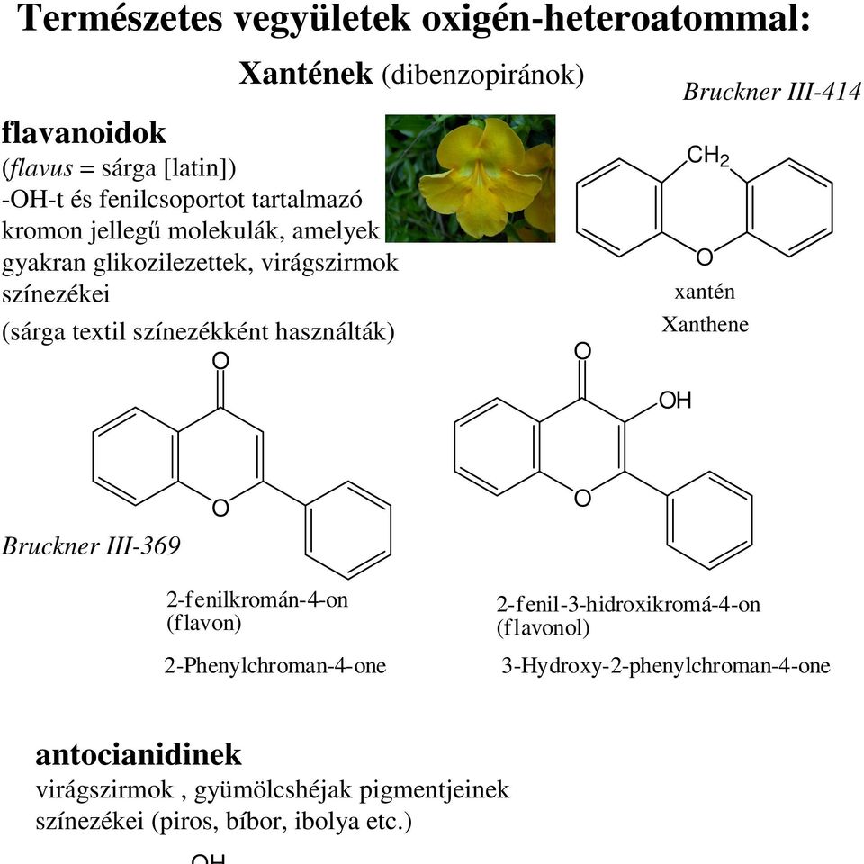 2 xantén Xanthene Bruckner III-414 Bruckner III-369 2-fenilkromán-4-on (flavon) 2-Phenylchroman-4-one 2-fenil-3-hidroxikromá-4-on