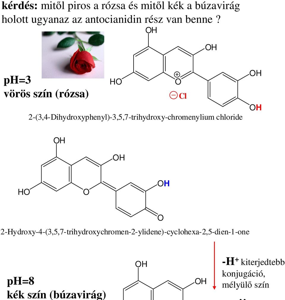 p=3 vörös szín (rózsa) 2-(3,4-Dihydroxyphenyl)-3,5,7-trihydroxy-chromenylium