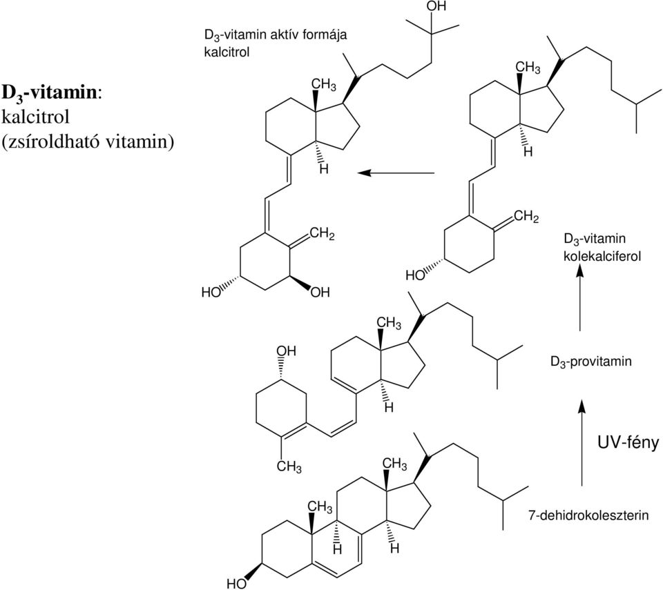 kalcitrol 3 3 2 2 D 3 -vitamin