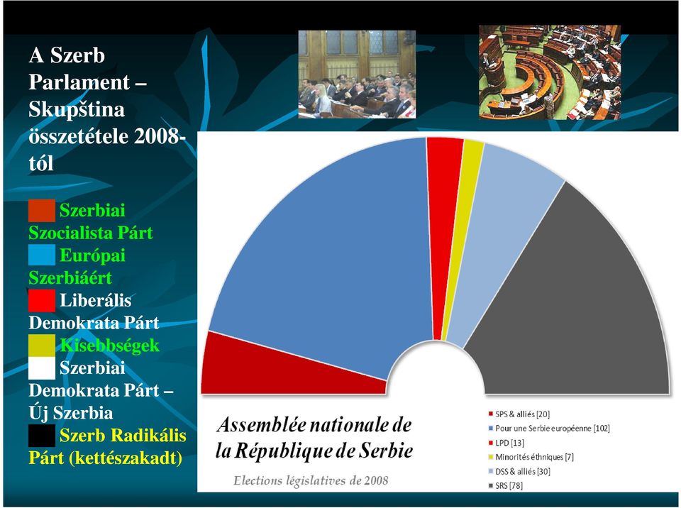 Liberális Demokrata Párt Kisebbségek Szerbiai