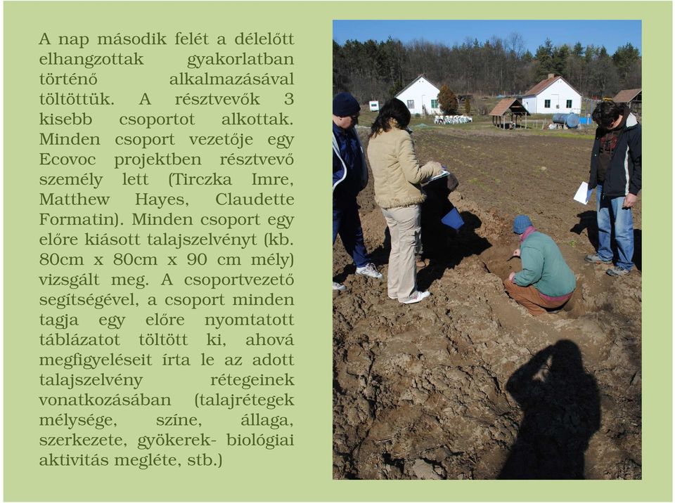 Minden csoport egy előre kiásott talajszelvényt (kb. 80cm x 80cm x 90 cm mély) vizsgált meg.
