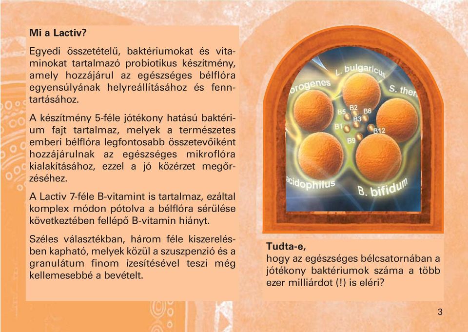 közérzet megőrzéséhez. A Lactiv 7-féle B-vitamint is tartalmaz, ezáltal komplex módon pótolva a bélflóra sérülése következtében fellépő B-vitamin hiányt.