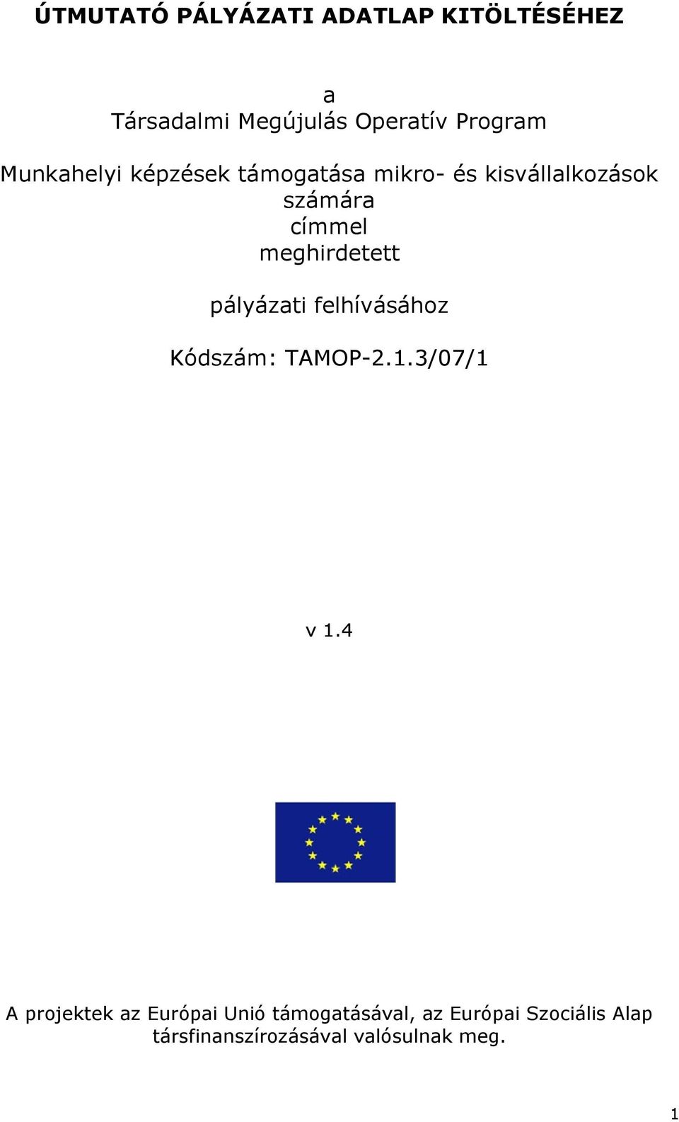 meghirdetett pályázati felhívásához Kódszám: TAMOP-2.1.3/07/1 v 1.