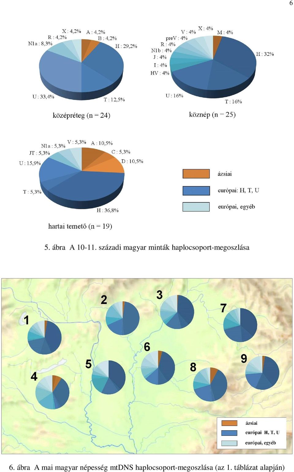 haplocsoport-megoszlása 6.