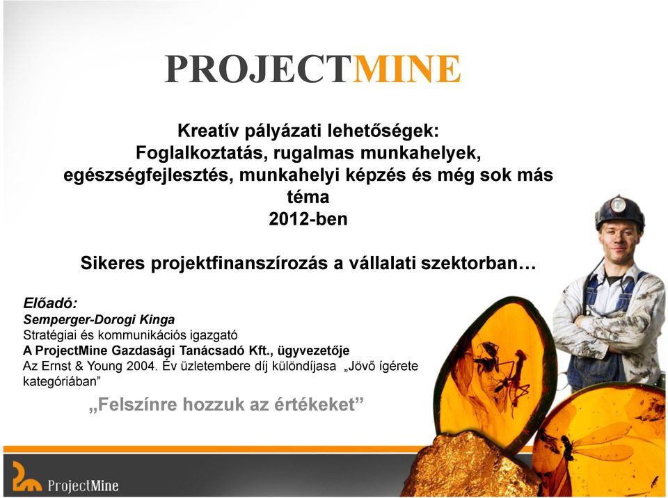 szektorban Semperger-Dorogi Kinga Stratégiai és kommunikációs igazgató A ProjectMine Gazdasági Tanácsadó