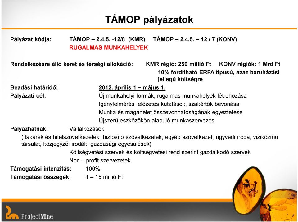 Pályázati cél: Pályázhatnak: Vállalkozások 10% fordítható ERFA típusú, azaz beruházási jellegű költségre Új munkahelyi formák, rugalmas munkahelyek létrehozása Igényfelmérés, előzetes kutatások,