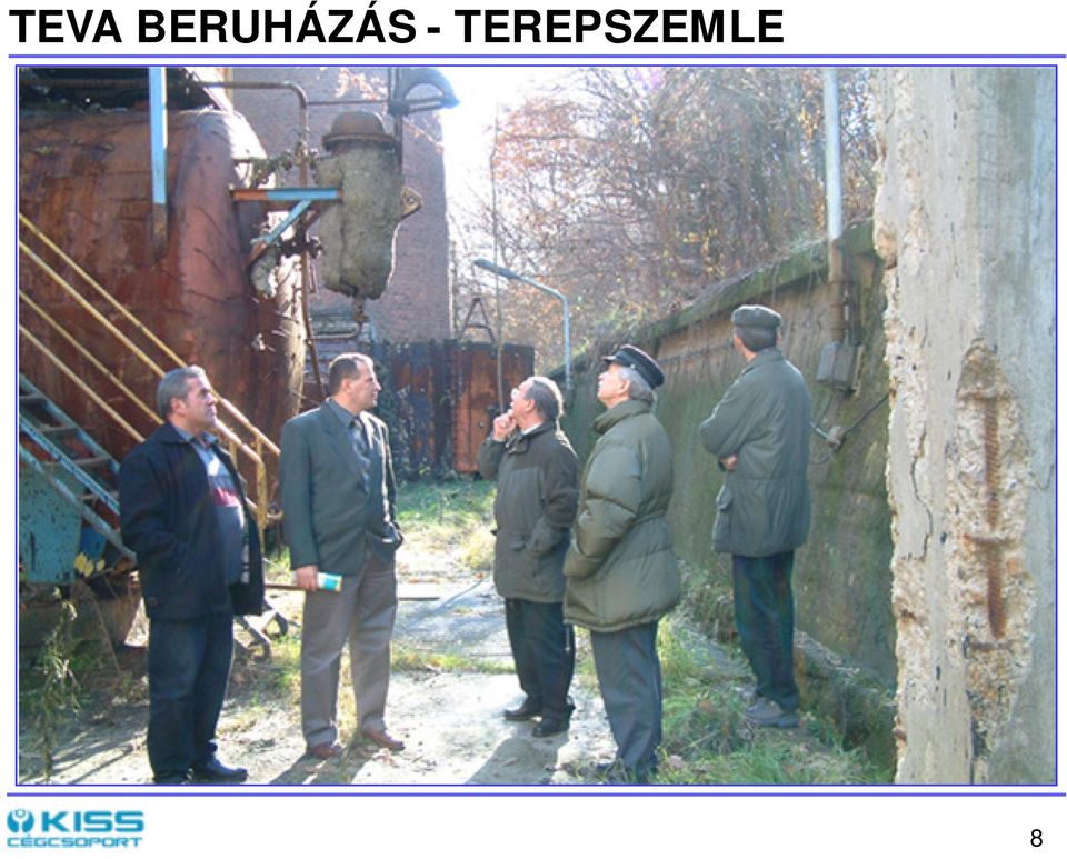 TEREPSZEMLE