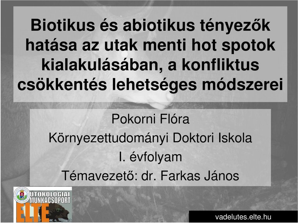 lehetséges módszerei Pokorni Flóra