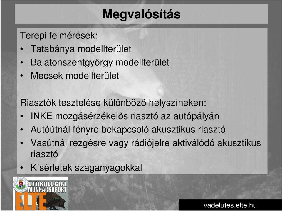 mozgásérzékelős riasztó az autópályán Autóútnál fényre bekapcsoló akusztikus