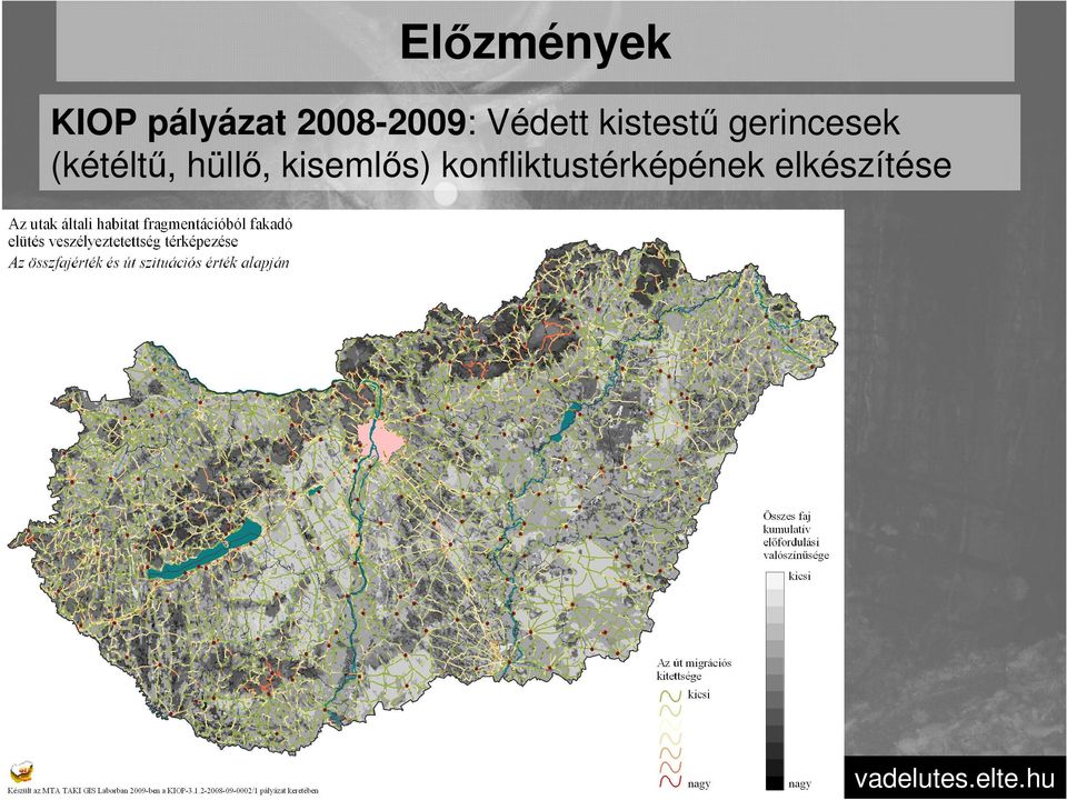 gerincesek (kétéltű, hüllő,