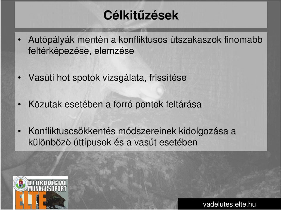 frissítése Közutak esetében a forró pontok feltárása