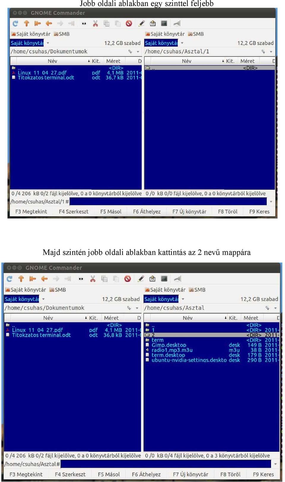 szintén jobb oldali
