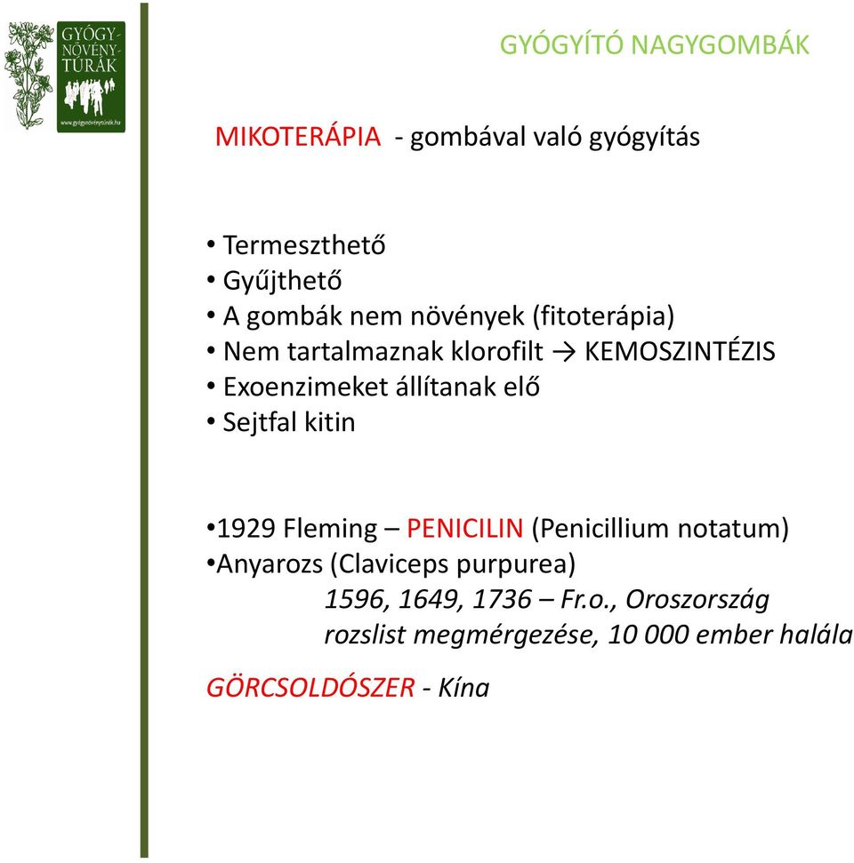 Sejtfal kitin 1929 Fleming PENICILIN (Penicillium notatum) Anyarozs (Claviceps purpurea)