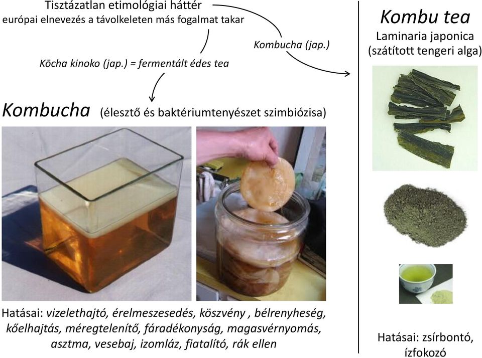 ) Kombu tea Laminaria japonica (szátított tengeri alga) Kombucha (élesztő és baktériumtenyészet szimbiózisa)