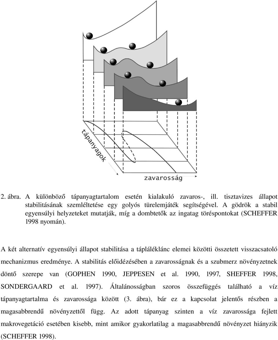 A két alternatív egyensúlyi állapot stabilitása a tápláléklánc elemei közötti összetett visszacsatoló mechanizmus eredménye.