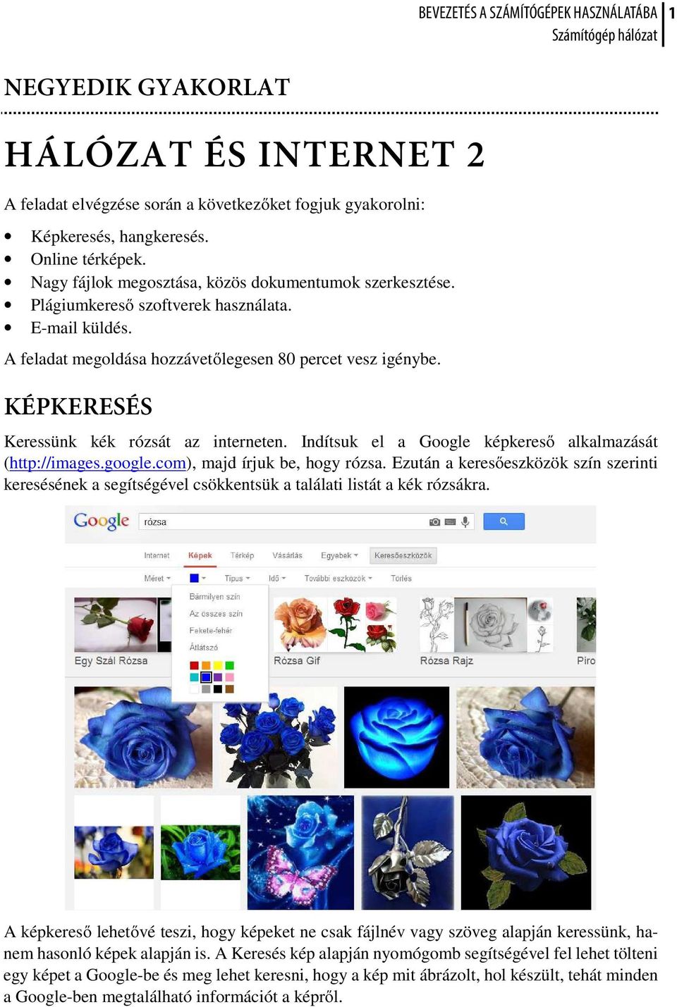 KÉPKERESÉS Keressünk kék rózsát az interneten. Indítsuk el a Google képkereső alkalmazását (http://images.google.com), majd írjuk be, hogy rózsa.
