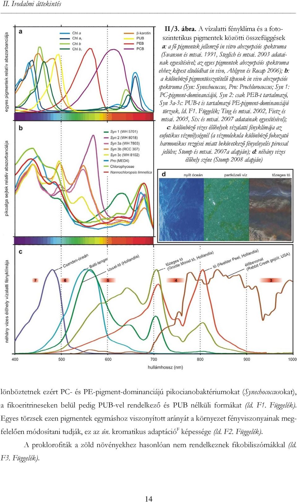 2003 adatainak egyesítésével; az egyes pigmentek abszorpciós spektruma ehhez képest eltolódhat in vivo, Ahlgren és Rocap 2006); b: a különböző pigmentösszetételű típusok in vivo abszorpciós spektruma