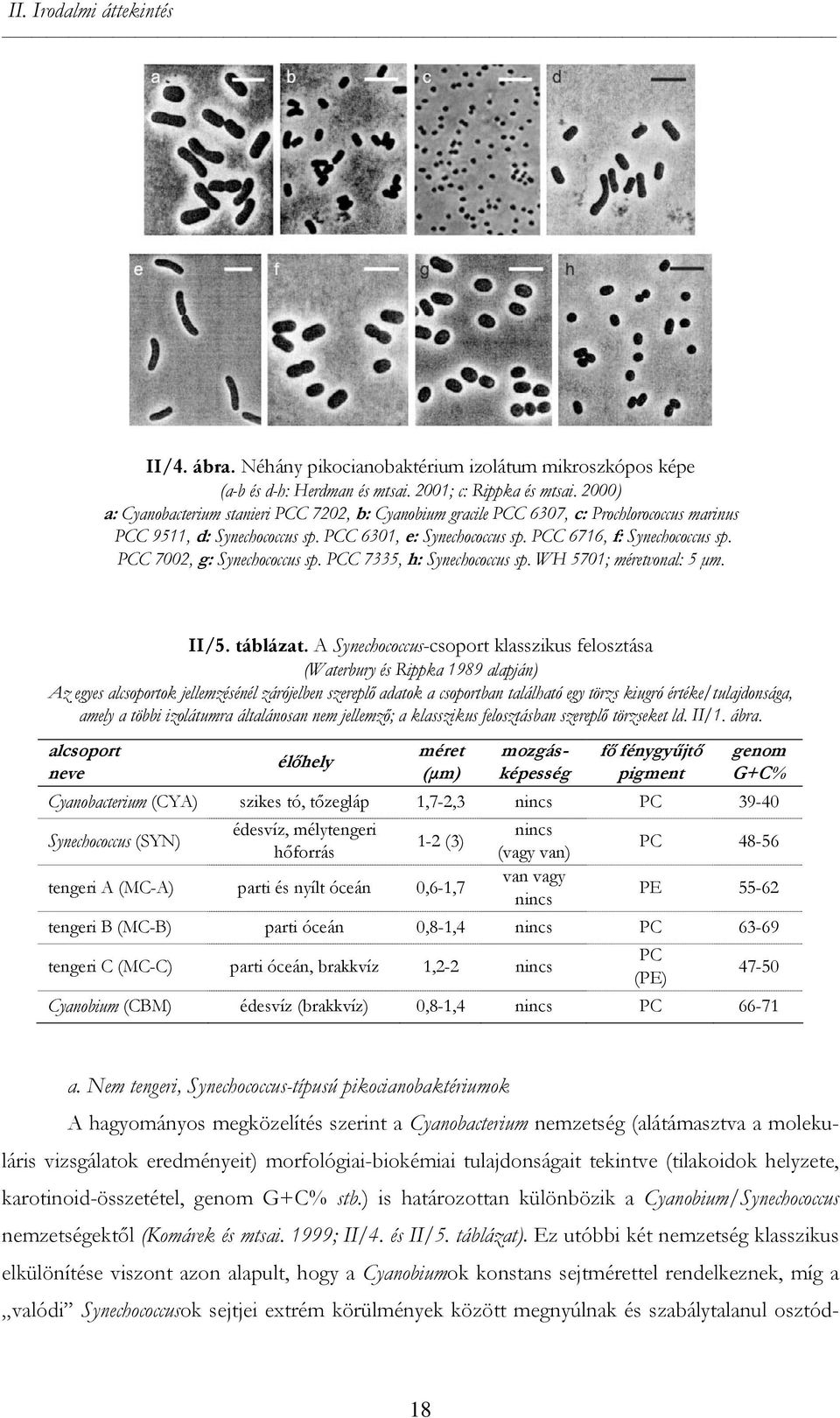 PCC 7002, g: Synechococcus sp. PCC 7335, h: Synechococcus sp. WH 5701; méretvonal: 5 µm. II/5. táblázat.