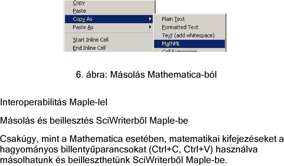 matematikai kifejezéseket a hagyományos billentyűparancsokat (Ctrl+C,