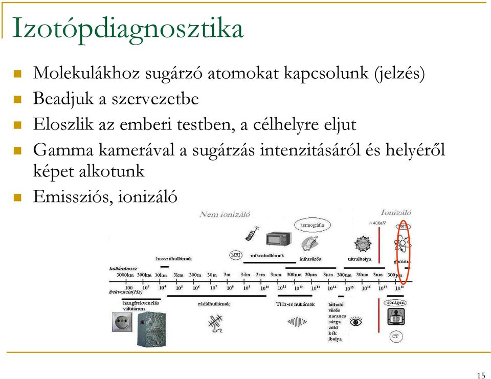 emberi testben, a célhelyre eljut Gamma kamerával a