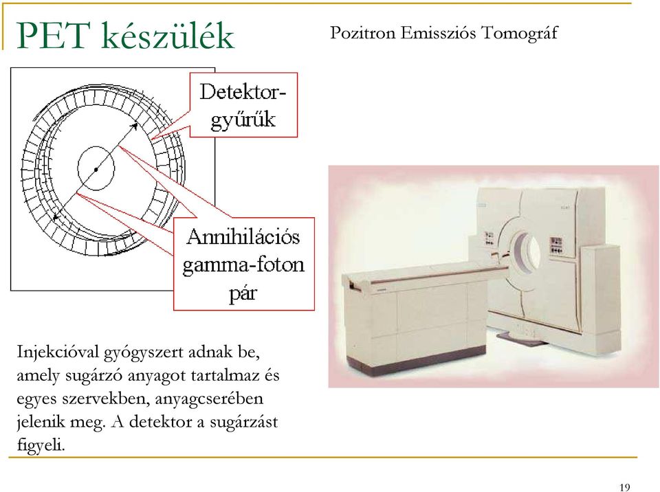 anyagot tartalmaz és egyes szervekben,