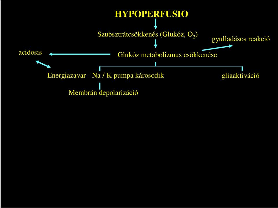 metabolizmus csökkenése Energiazavar - Na / K