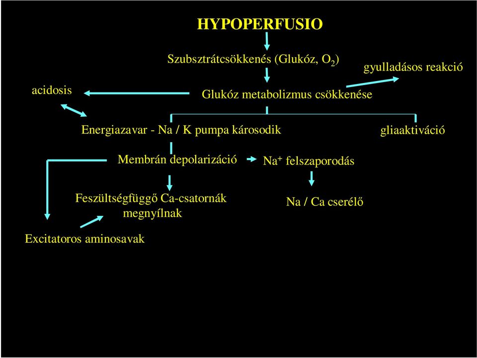 károsodik gliaaktiváció Membrán depolarizáció Na + felszaporodás