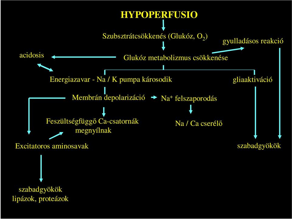 gliaaktiváció Membrán depolarizáció Na + felszaporodás Feszültségfüggı