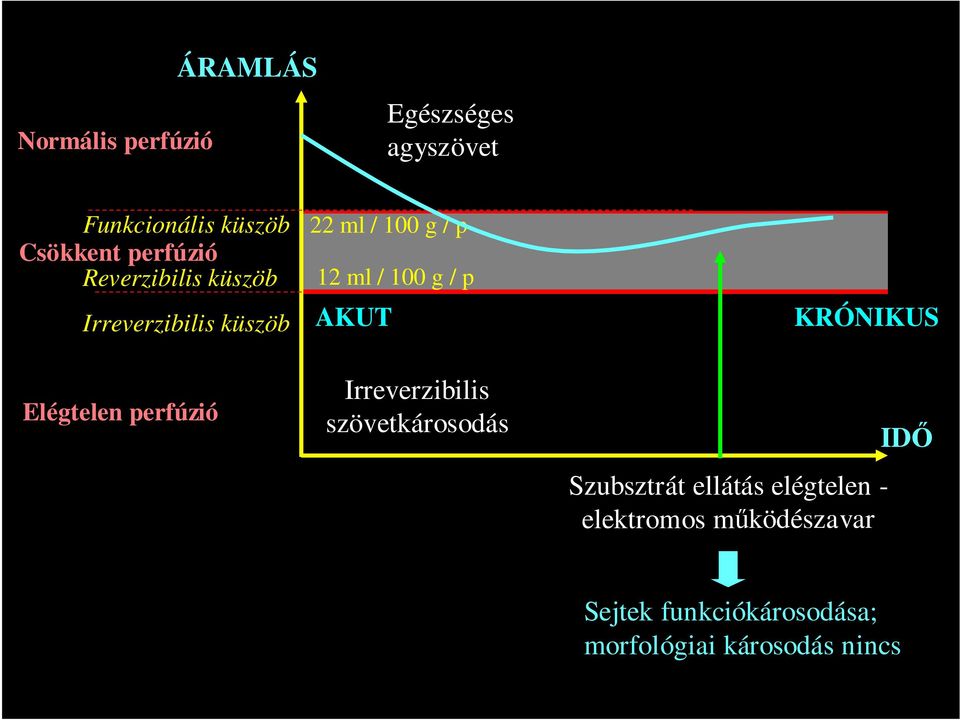 / 100 g / p AKUT Irreverzibilis szövetkárosodás KRÓNIKUS Szubsztrát ellátás