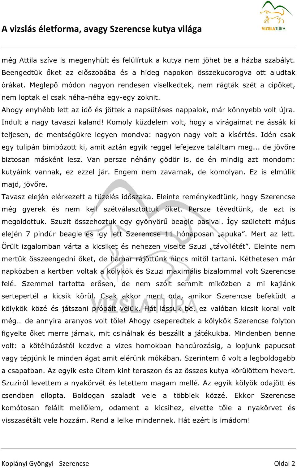 Indult a nagy tavaszi kaland! Komoly küzdelem volt, hogy a virágaimat ne ássák ki teljesen, de mentségükre legyen mondva: nagyon nagy volt a kísértés.
