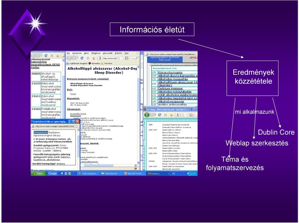 Weblap szerkesztés Téma