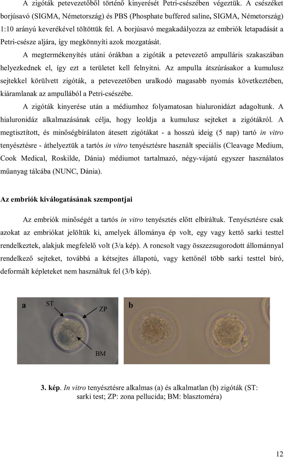 A borjúsavó megakadályozza az embriók letapadását a Petri-csésze aljára, így megkönnyíti azok mozgatását.