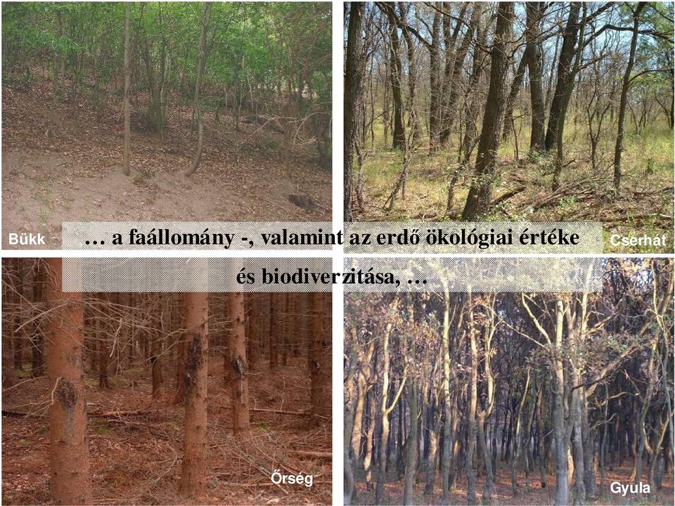 ökológiai értéke