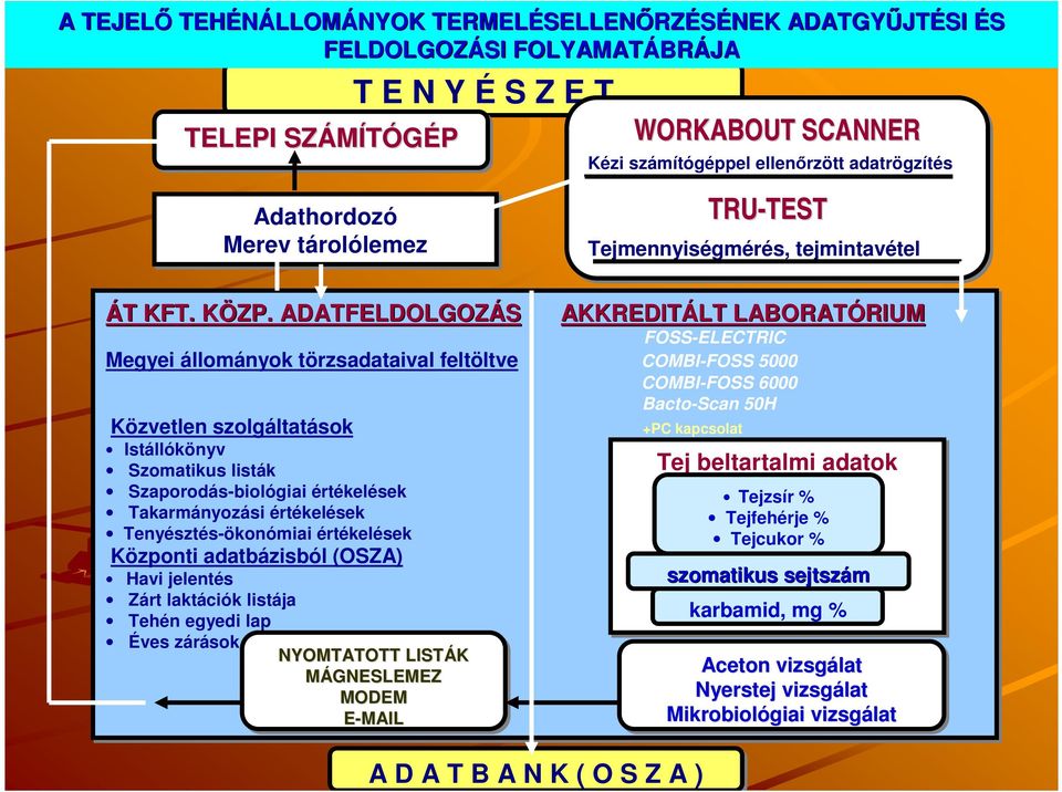 értékelések Takarmányozási értékelések Tenyésztés-ökonómiai értékelések Központi adatbázisból (OSZA) Havi jelentés Zárt laktációk listája Tehén egyedi lap Éves zárások NYOMTATOTT LISTÁK MÁGNESLEMEZ