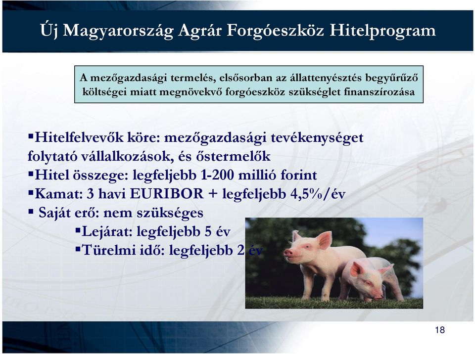 tevékenységet folytató vállalkozások, és ıstermelık Hitel összege: legfeljebb 1-200 millió forint Kamat: 3