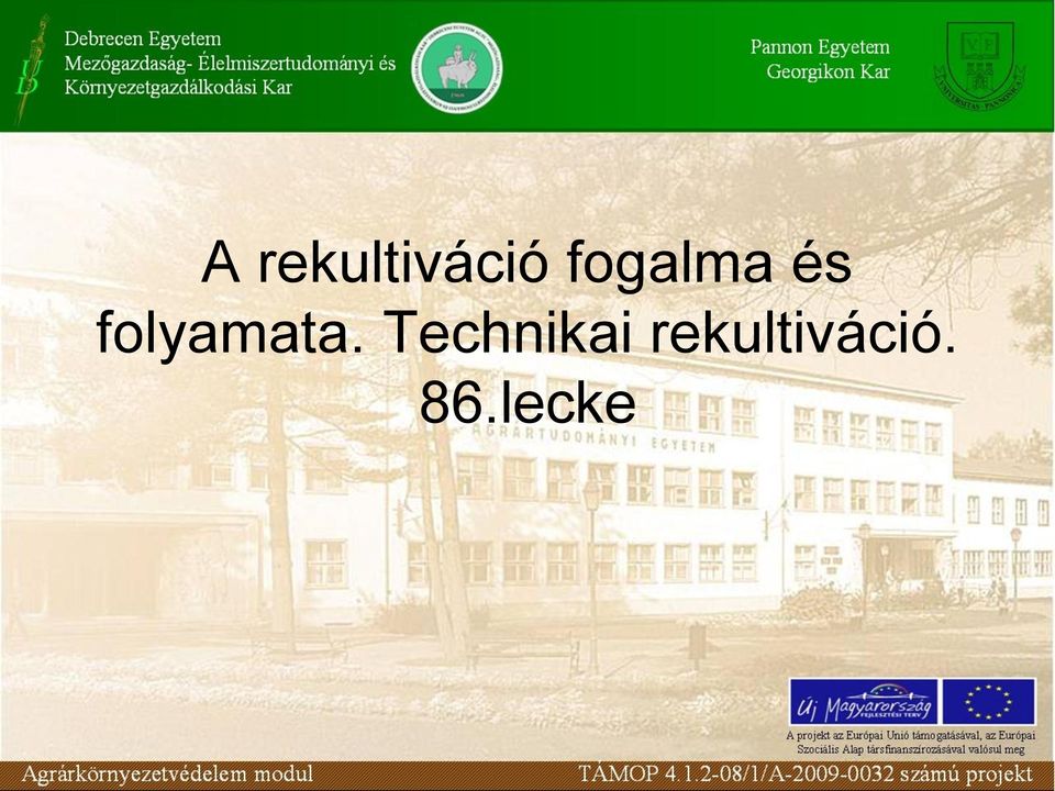 folyamata.
