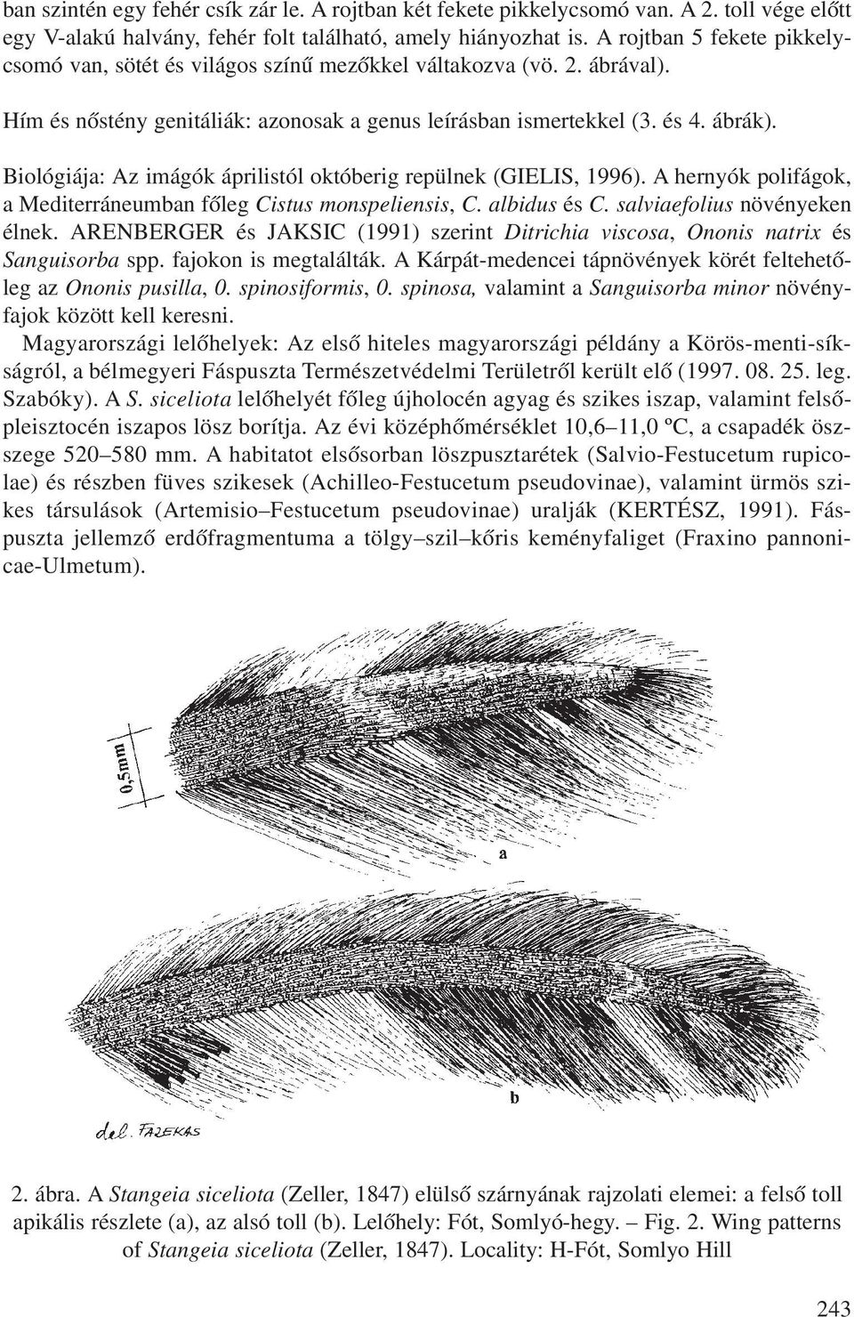 Biológiája: Az imágók áprilistól októberig repülnek (GIELIS, 1996). A hernyók polifágok, a Mediterráneumban fõleg Cistus monspeliensis, C. albidus és C. salviaefolius növényeken élnek.