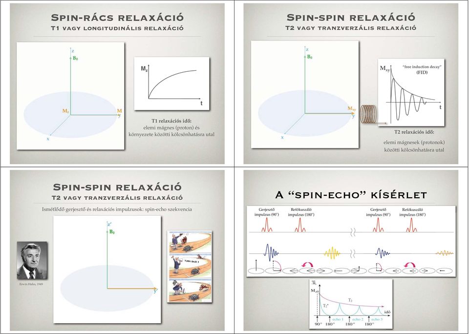 kölcsönhatásra utal Spin-spin relaxáció T2 vagy tranzverzális relaxáció A spin-echo kísérlet Ismétlődő gerjesztő és relaxációs impulzusok: